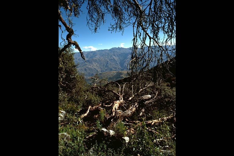 Fotografie ke knize Huascarn